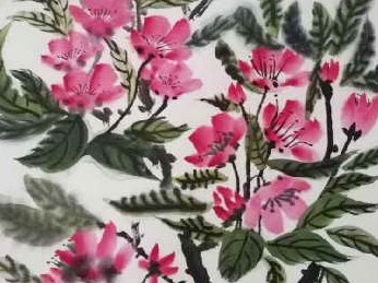 海棠花的果实能吃吗