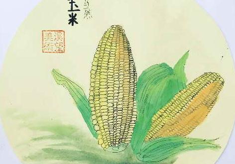 玉米须泡水能养生？中医：身体有这些问题的人，不妨试试！