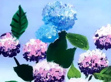 绣球花可以用椰砖吗