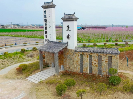 江苏新沂：科技加持，老范村桃农唱响“四季歌”