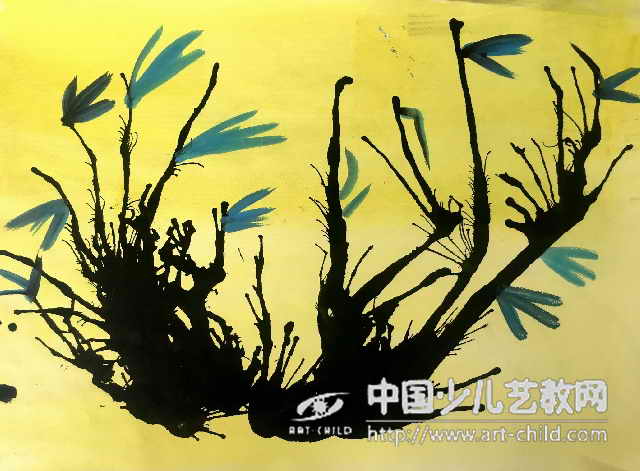 君子兰不开花是什么原因造成的
