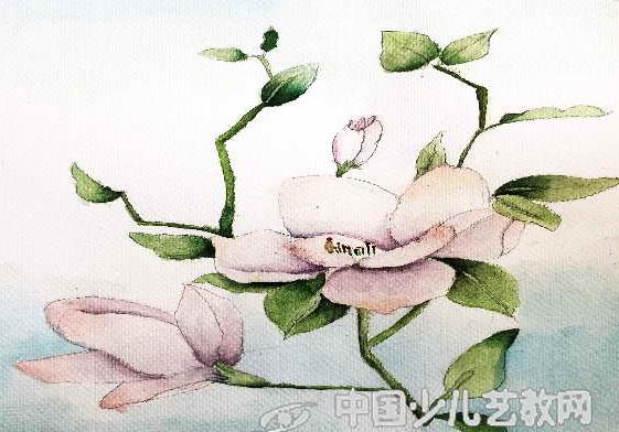茉莉开两种颜色的花怎么回事