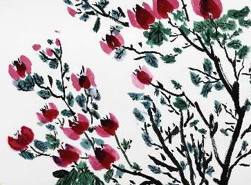 三角梅长势很好为什么不开花