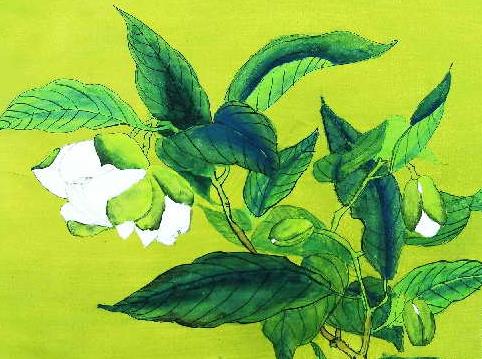 栀子花需要大量浇水吗