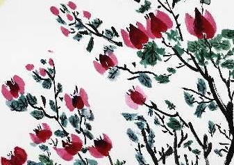 三角梅开花时如何浇水才能不掉花而延长花期
