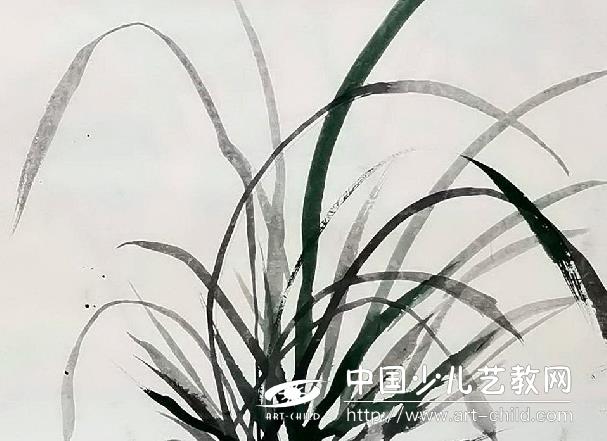 建兰怎样养才能开花