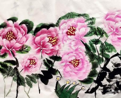 牡丹花苗啥时候发芽长叶