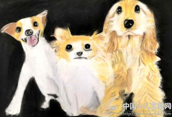 宠物生病很担心，了解方法很重要