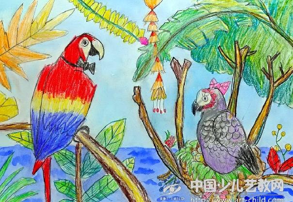 保护亚马逊雨林的一些新措施