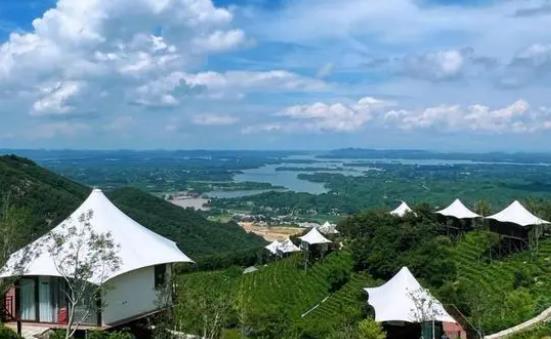 河南信阳：茶旅融合谱写“诗与远方”