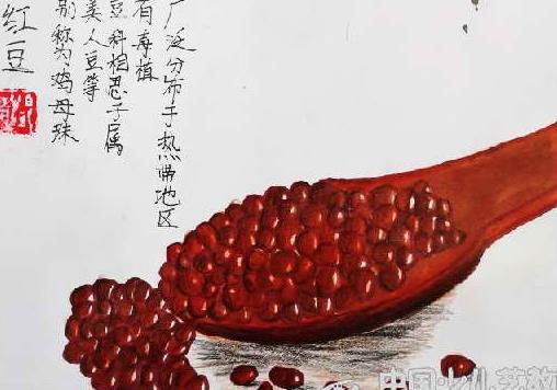 肾病不能吃豆制品？都是误会