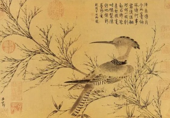 中国画之没骨花鸟画