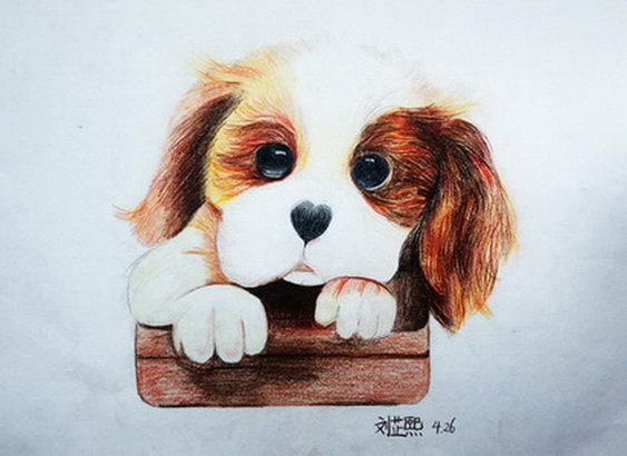 可爱的“小白”—《奔流小作家》全国中小学生全息作文大赛获奖作品