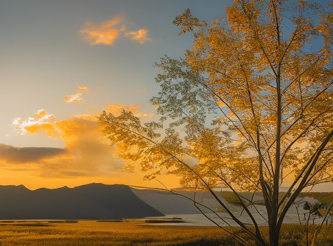 大学中文系毕业以后可以做什么系列⑤做广告文案策划