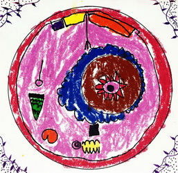 一月份的期待—《奔流小作家》全国中小学生全息作文大赛获奖作品