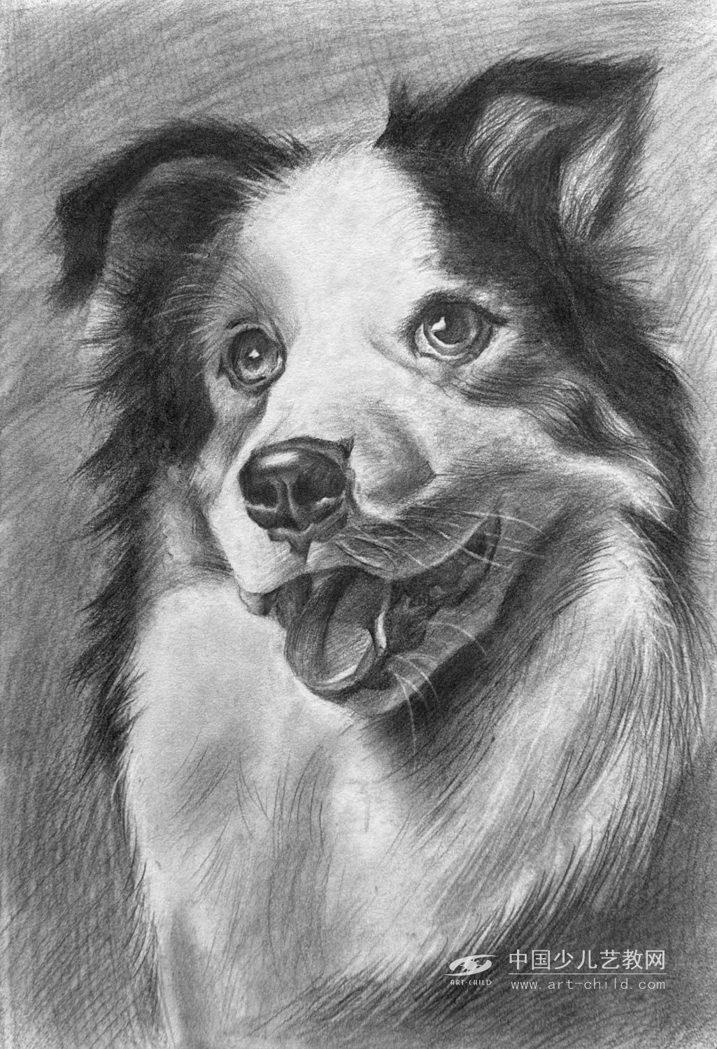 毛茸茸——选自《少儿画苑》国际少儿书画大赛