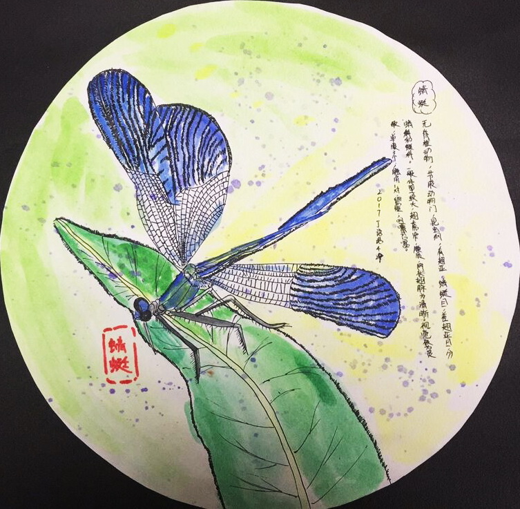《蜻蜓》——选自《少儿画苑》国际少儿书画大赛