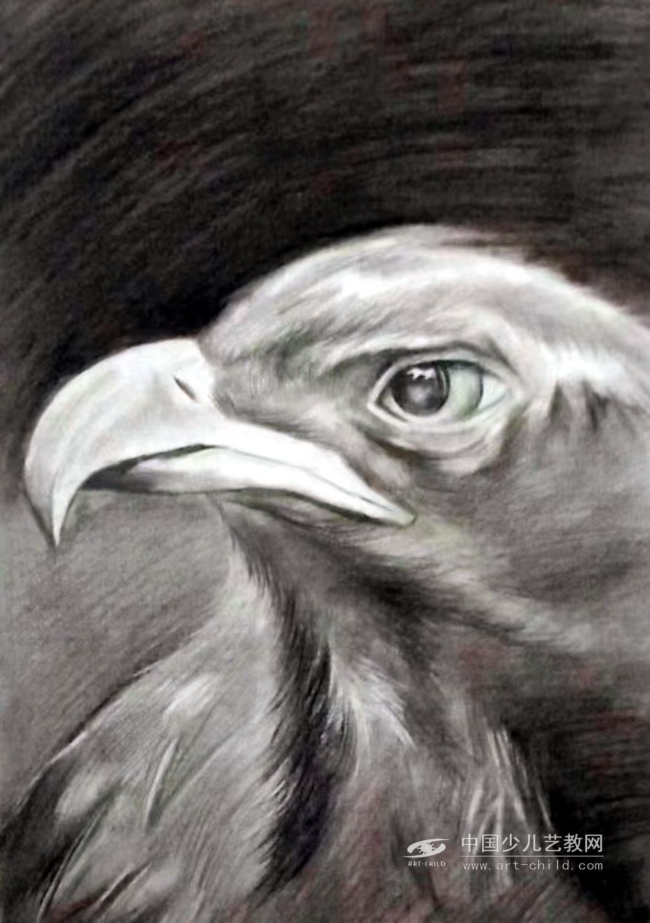 《鹰》—选自《少儿画苑》国际少儿书画大赛