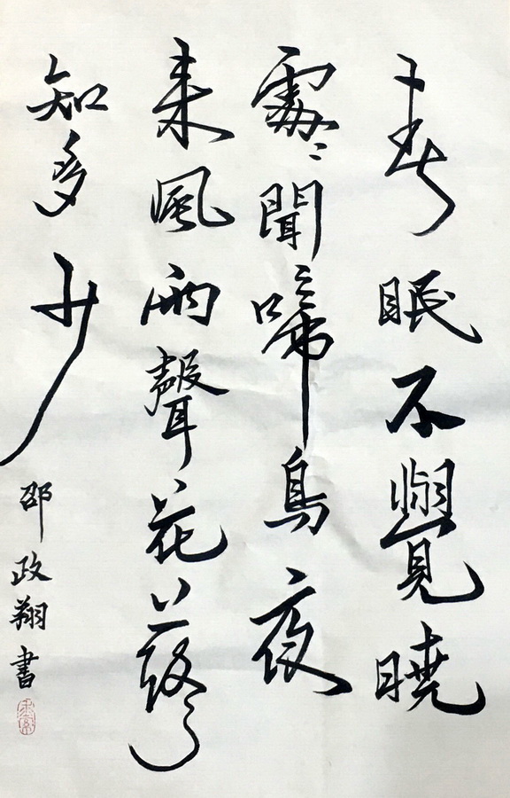 邵政翔书法作品赏析——选自《少儿画苑》国际少儿书画大赛