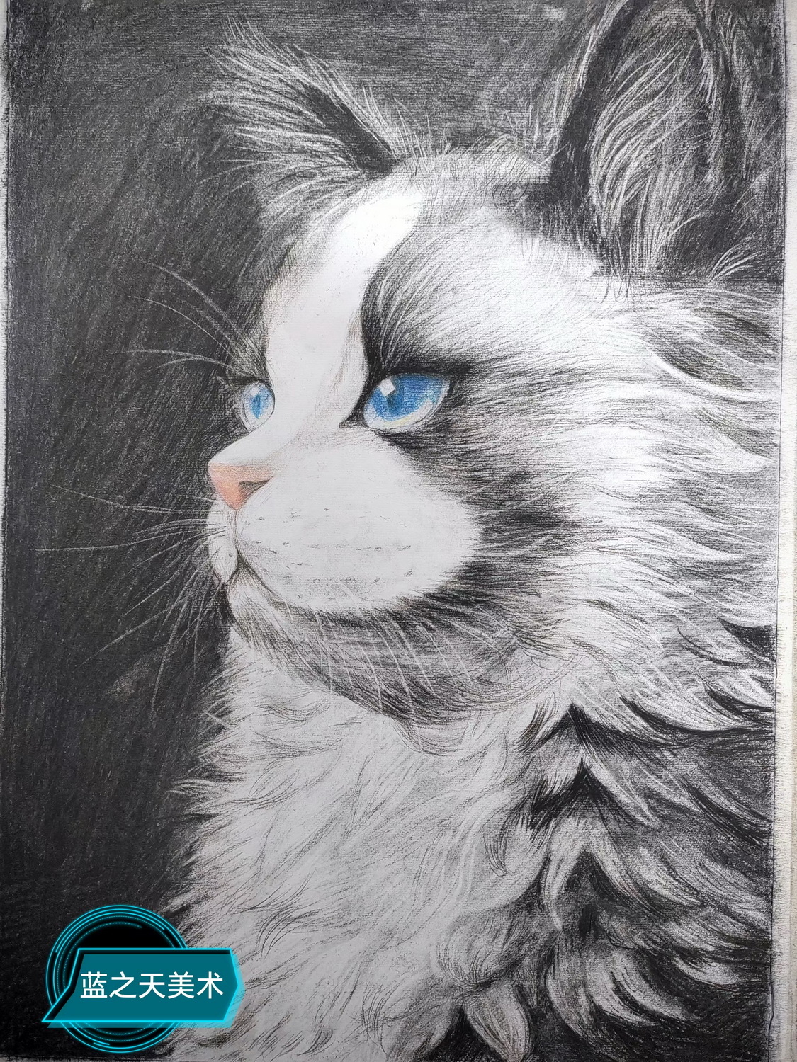 《猫》—选自《少儿画苑》国际少儿书画大赛