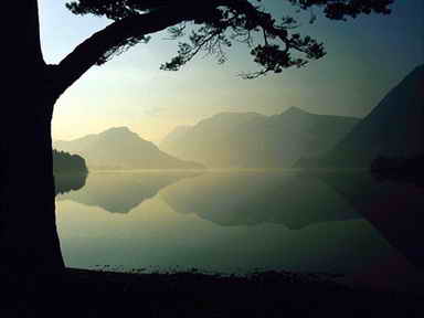 http://cmsapi.quanxi.cc风景自笔端流出