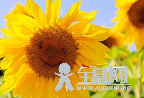 每天给自己一个微笑和希望