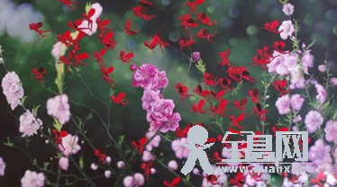 集体求助者的精神写照——评石立峰的艺术创作