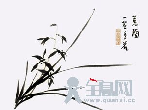 兰草构图