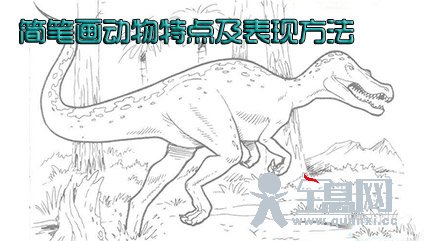 简笔画动物特点及表现方法