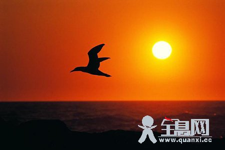 戴望舒诗歌鉴赏《印 象》
