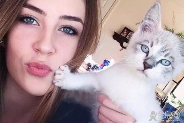 高冷猫大人是如何拒绝和二货主人合影的