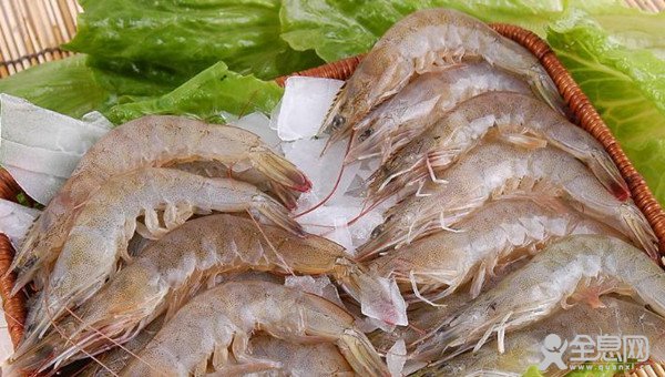 虾头变黑是因为不新鲜？