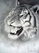 素描有哪几种画法