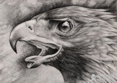 素描的理解