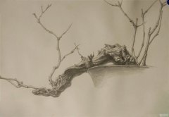 素描的作画步骤有哪些