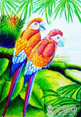 鹦鹉——《少儿画苑》第27届国际少儿书画大赛精品
