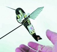 昆虫“间谍”潜入敌方探秘密