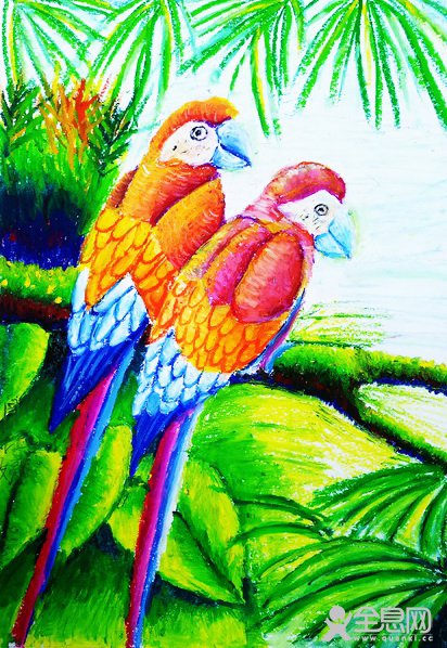 鹦鹉——《少儿画苑》第27届国际少儿书画大赛精品