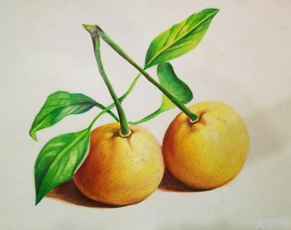 桔子——《少儿画苑》第27届国际少儿书画大赛精品