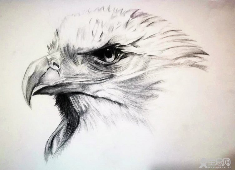 优涂少儿创意美术