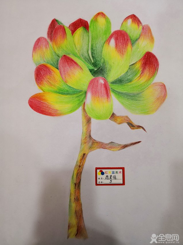 洛阳伊川县红黄蓝美术