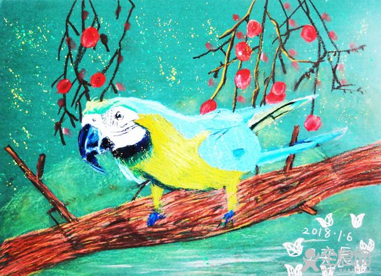 鹦鹉——《少儿画苑》第27届国际少儿书画大赛精品