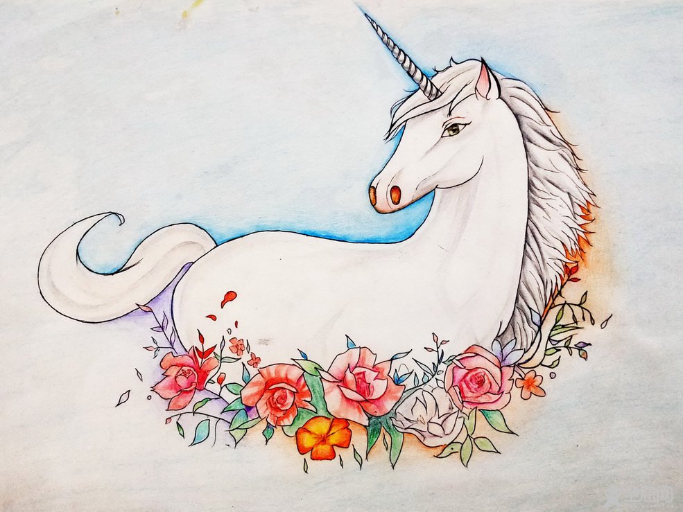 阜新市青禾艺术学校