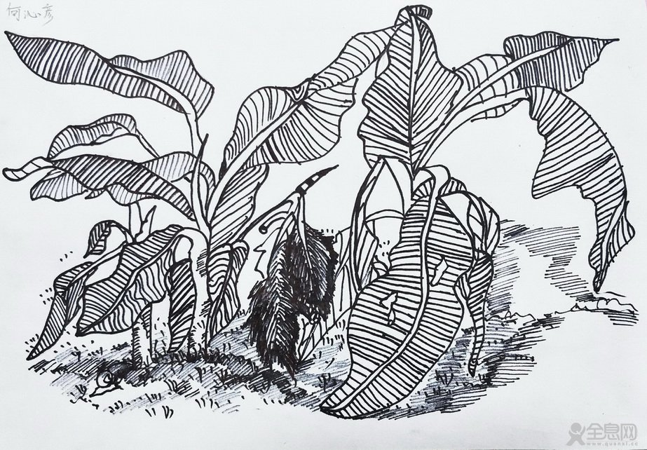 通江新东方画室