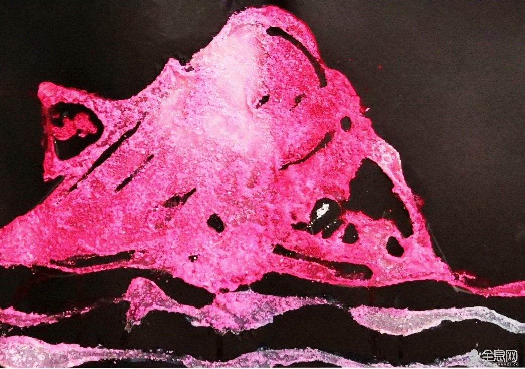 眼睛人当代少儿艺术中心