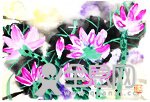 圆画板工作室