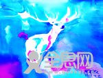 博威画室