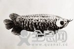 七色光少儿美术培训学校