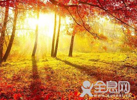 发愁写作文没素材？5大作文素材等你用！