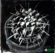 油彩粉笔画技法＿刮除法